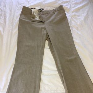 Express Boot Leg Dress Pants